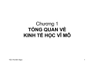 Bài giảng Kinh tế vĩ mô ( Trần Thị Minh Ngọc)  - Chương 1 Tổng quan về kinh tế học vĩ mô