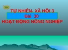 Slide bài Hoạt động nông nghiệp - Tự Nhiên Xã Hội 3 - GV.H.T.Minh