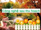 Tiểu luận: Tìm hiểu các phương pháp khiểm tra nguyên liệu trong công nghệ sản xuất gạo