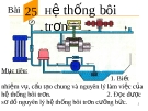 Slide bài  Hệ thống bôi trơn - Công nghệ 11 - GV.T.M.Châu