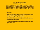 Bài giảng Công nghệ 12 bài 27: Thực hành - Quan sát và mô tả cấu tạo của động cơ không đồng bộ ba pha