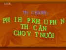 Bài giảng Công nghệ 10 bài 30: Thực hành - Phối hợp khẩu phần ăn cho vật nuôi