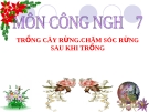 Slide bài Trồng cây rừng - Công nghệ 7 - GV.V.H.Quyên