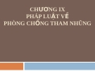 Bài giảng Nhà nước và pháp luật đại cương - Chương 9: Pháp luật về phòng chống tham nhũng (Lương Thanh Bình)