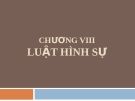 Bài giảng Nhà nước và pháp luật đại cương - Chương 8: Luật hình sự (Lương Thanh Bình)