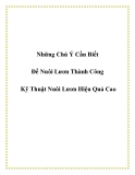 Những chú ý cần biết để nuôi Lươn thành công - Kỹ Thuật Nuôi Lươn Hiệu Quả Cao