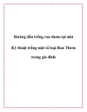 Hướng dẫn trồng rau thơm tại nhà