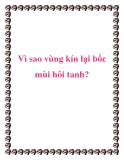 Vì sao vùng kín lại bốc mùi hôi tanh?