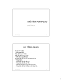 Bài giảng Mô hình tài chính - Chương 8: Mô hình Portfolio