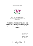 Tiểu luận nuôi trồng thủy sản: Tìm hiểu một số bệnh thường gặp trong quá trình ương nuôi tôm sú (penaeus monodon) ở Cần Thơ và Sóc Trăng