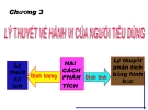 Bài giảng Kinh tế vi mô (ThS. Trần Nguyễn Minh Ái ) - Chương 3: Lý thuyết về hành vi của người tiêu dùng