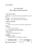 Giáo án bài 8: Vẽ theo mẫu: Mẫu vẽ có dạng hình trụ và hình cầu - Mỹ thuật 5 - GV.Hoàng T.My