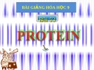 Bài giảng Hóa học 9 bài 53: Protein