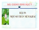 Bài giảng Sinh học 7 bài 19: Một số thân mềm khác