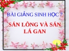 Bài giảng Sinh học 7 bài 11: Sán lá gan