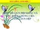 Bài giảng Sinh học 7 bài 12: Một số giun dẹp khác và đặc điểm của ngành Giun dẹp