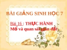 Bài giảng Sinh học 7 bài 16: Thực hành mổ và quan sát giun đất