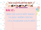 Bài giảng Sinh học 7 bài 17: Một số giun đốt khác và đặc điểm của ngành giun đốt