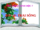 Bài giảng Sinh học 7 bài 18: Trai sông