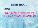 Bài giảng Sinh học 7 bài 21: Đặc điểm chung và vai trò của ngành thân mềm