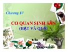 Bài giảng chương 4: Cơ quan sinh sản (Hạt và quả) - Trần Thị Thanh Hương