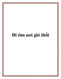 Đi tìm nơi gió thổi