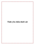 Tình yêu chôn dưới cát