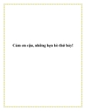 Cảm ơn cậu, những hẹn hò thứ bảy!