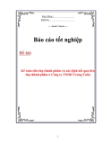 Báo cáo tốt nghiệp: Kế toán tiêu thụ thành phẩm và xác định kết quả tiêu thụ thành phẩm ở Công ty TNHH Trung Tuấn