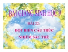 Bài giảng Sinh học 9 bài 22: Đột biến cấu trúc nhiễm sắc thể