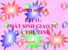 Bài giảng Sinh học 9 bài 11:  Phát sinh giao tử và thụ tinh