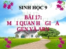 Bài giảng Sinh học 9 bài 17: Mối quan hệ giữa gen và ARN