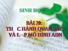 Bài giảng Sinh học 9 bài 20: Thực hành quan sát và lắp mô hình ADN