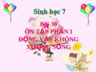 Bài giảng Sinh học 7 bài 30: Ôn tập phần một - Động vật không xương sống