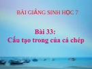 Bài giảng Sinh học 7 bài 33: Cấu tạo trong của cá chép