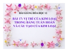 Bài giảng Hóa học 12 bài 17: Vị trí của kim loại trong bảng tuần hoàn và cấu tạo của kim loại