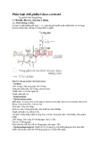 Phân loại chế phẩm Gluco corticoid