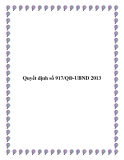 Quyết định số 917/QĐ-UBND 2013