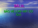 Bài giảng Đạo đức 2 bài 14: Bảo vệ loài vật có ích