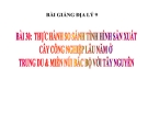 Bài giảng Địa lý 9 bài 30: Thực hành so sánh tình hình sản xuất cây công nghiệp lâu năm ở Trung du và miền núi Bắc Bộ với Tây Nguyên