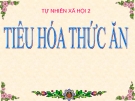 Bài 6: Tiêu hóa thức ăn - Bài giảng điện tử Tự nhiên Xã hội 2 - L.K.Chi