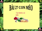 Bài giảng TNXH 1 bài 27: Con mèo