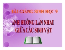 Bài giảng Sinh học 9 bài 44: Ảnh hưởng lẫn nhau giữa các  sinh vật