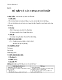 Giáo án Sinh học 8 bài 20: Hô hấp và các cơ quan hô hấp