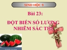 Bài giảng Sinh học 9 bài 23: Đột biến số lượng nhiễm sắc thể