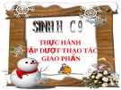 Bài giảng Sinh học 9 bài 38: Thực hành tập hợp thao tác giao phấn