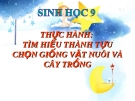 Bài giảng Sinh học 9 bài 39: Thực hành tìm hiểu thành tựu chọn giống vật nuôi và cây trồng