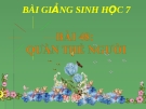 Bài giảng Sinh học 9 bài 48:  Quần thể người