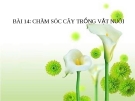 Bài giảng Đạo đức 3 bài 14: Chăm sóc cây trồng vật nuôi