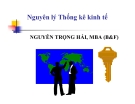 Bài giảng Nguyên lý thống kê kinh tế -  Nguyễn Trọng Hải MBA